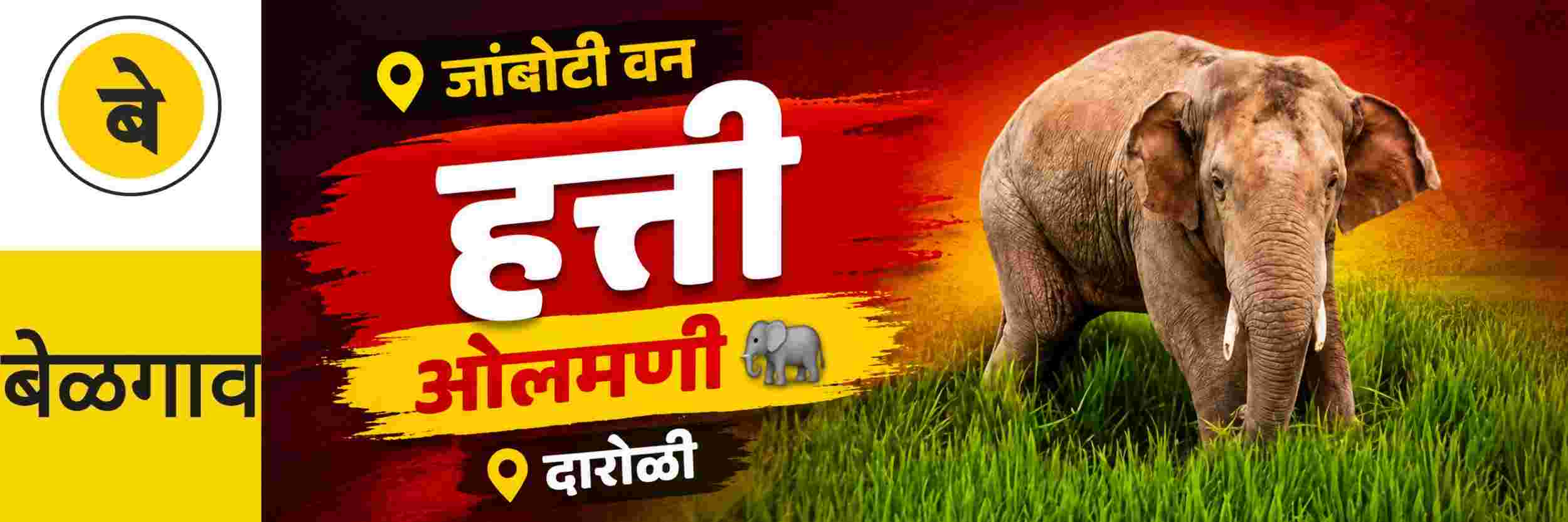 news_71208