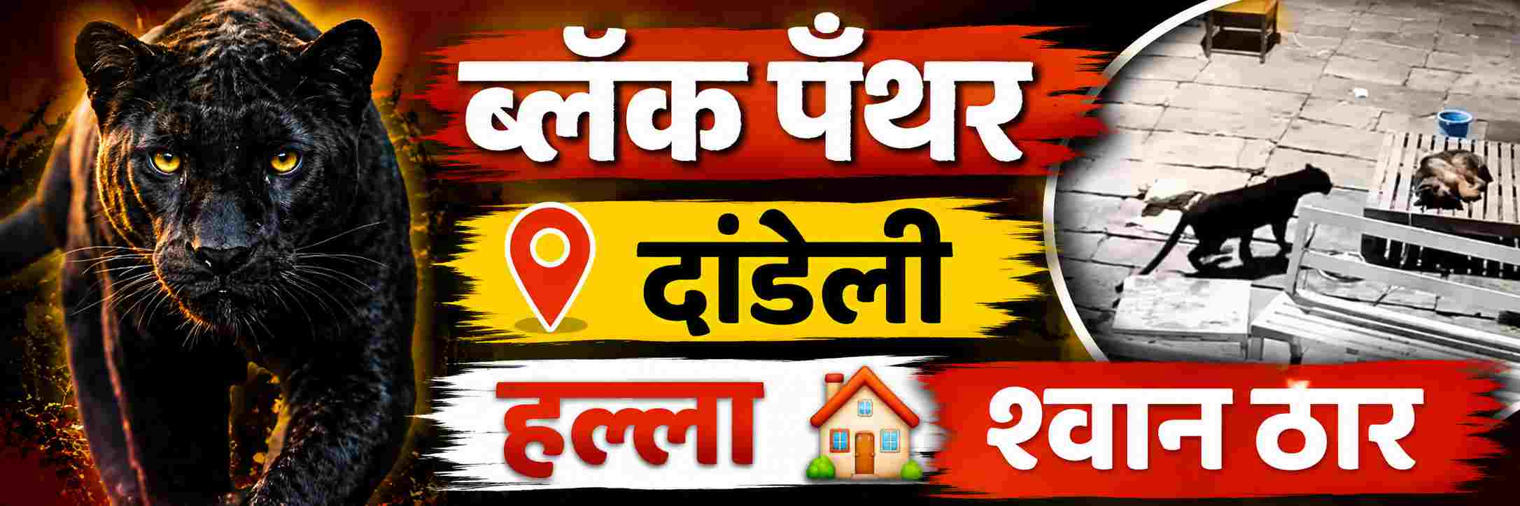 news_70898