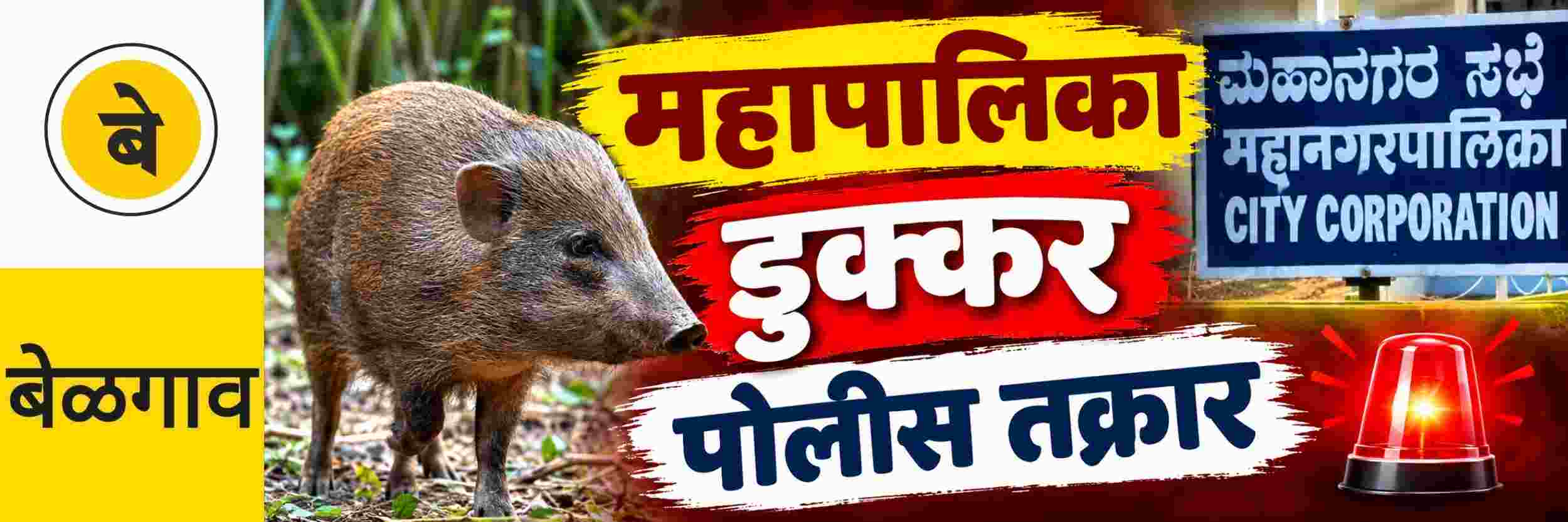 news_71417