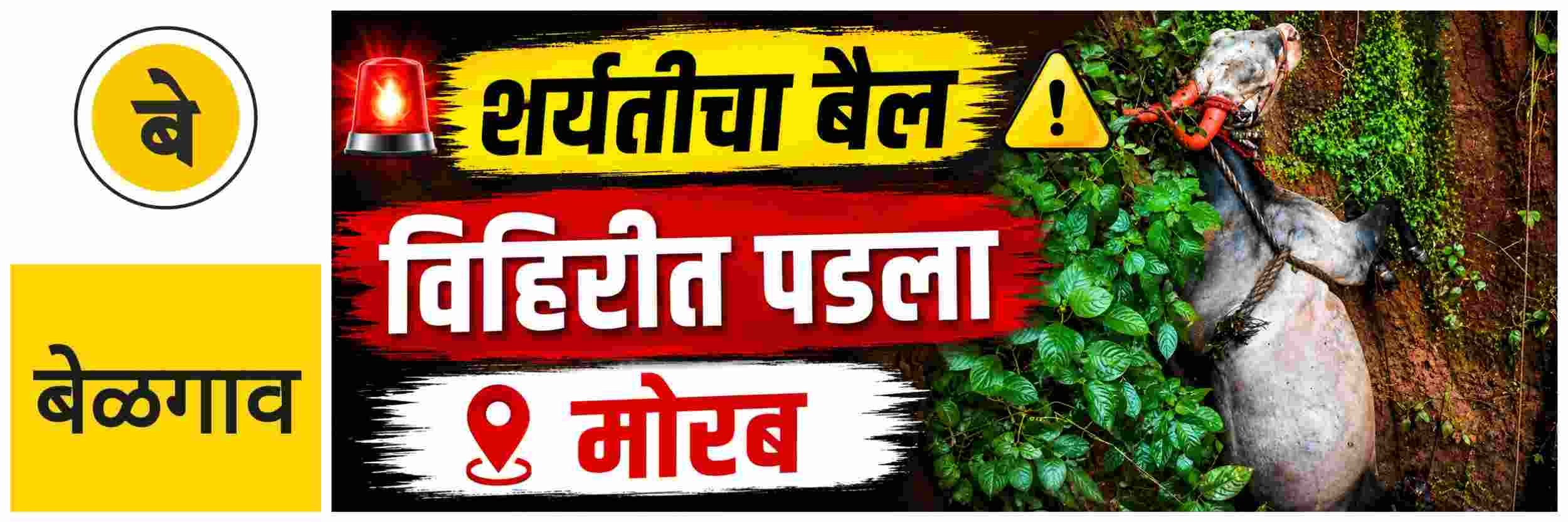 news_70556