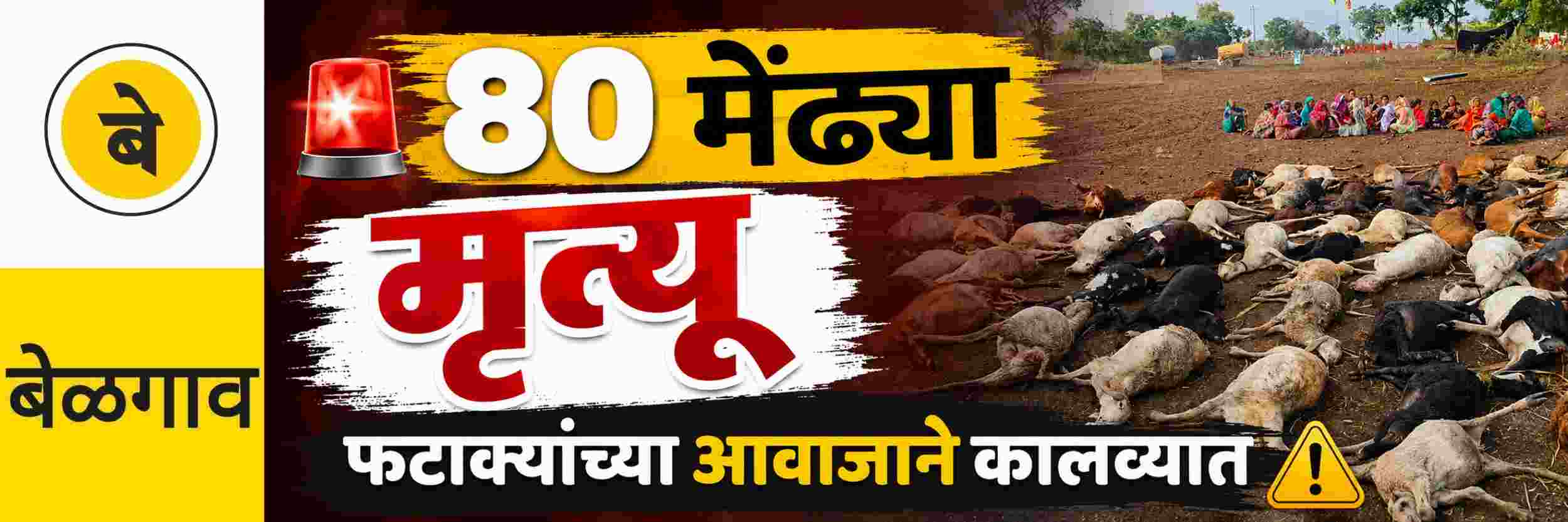 news_71038