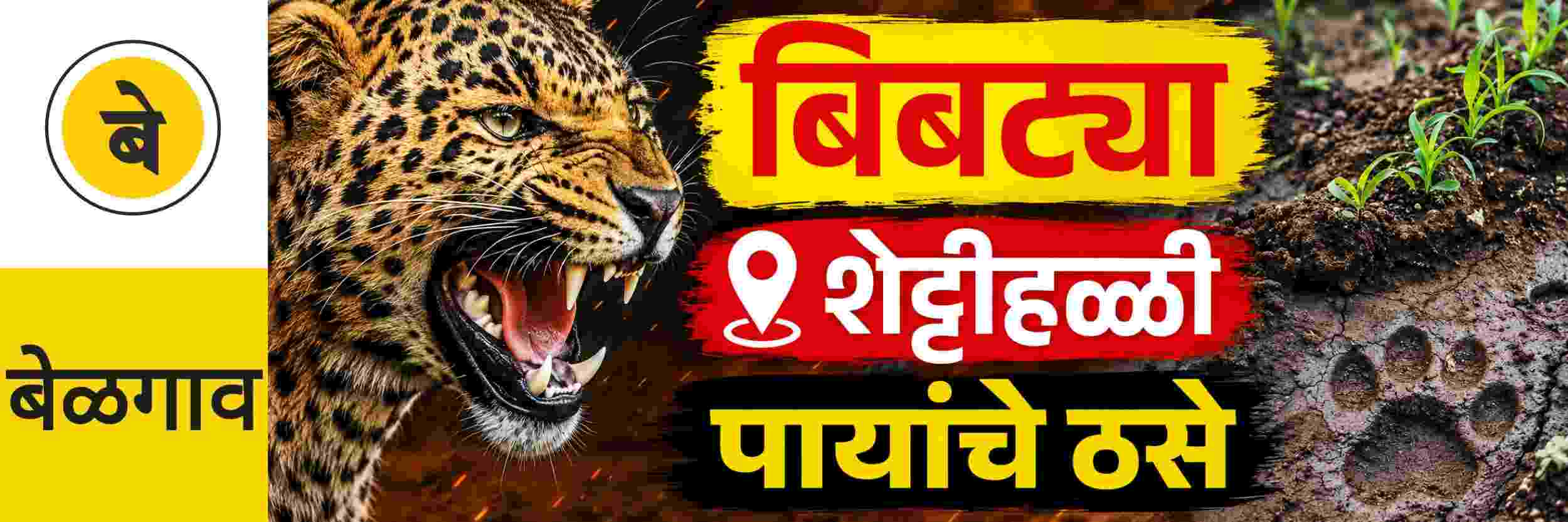 news_70865