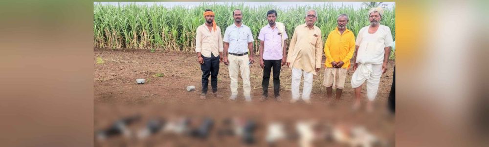 news_58683