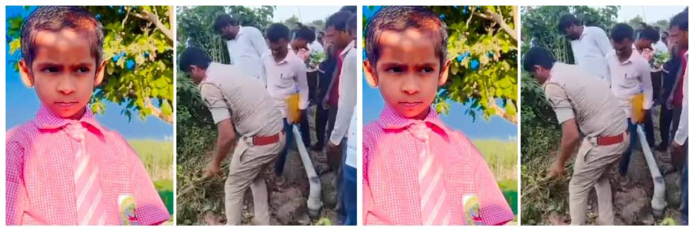 news_62317