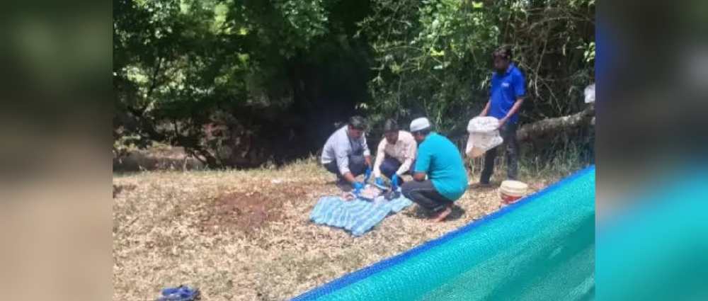 news_57763