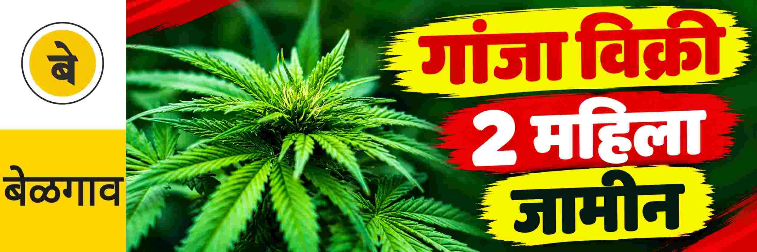 news_72013