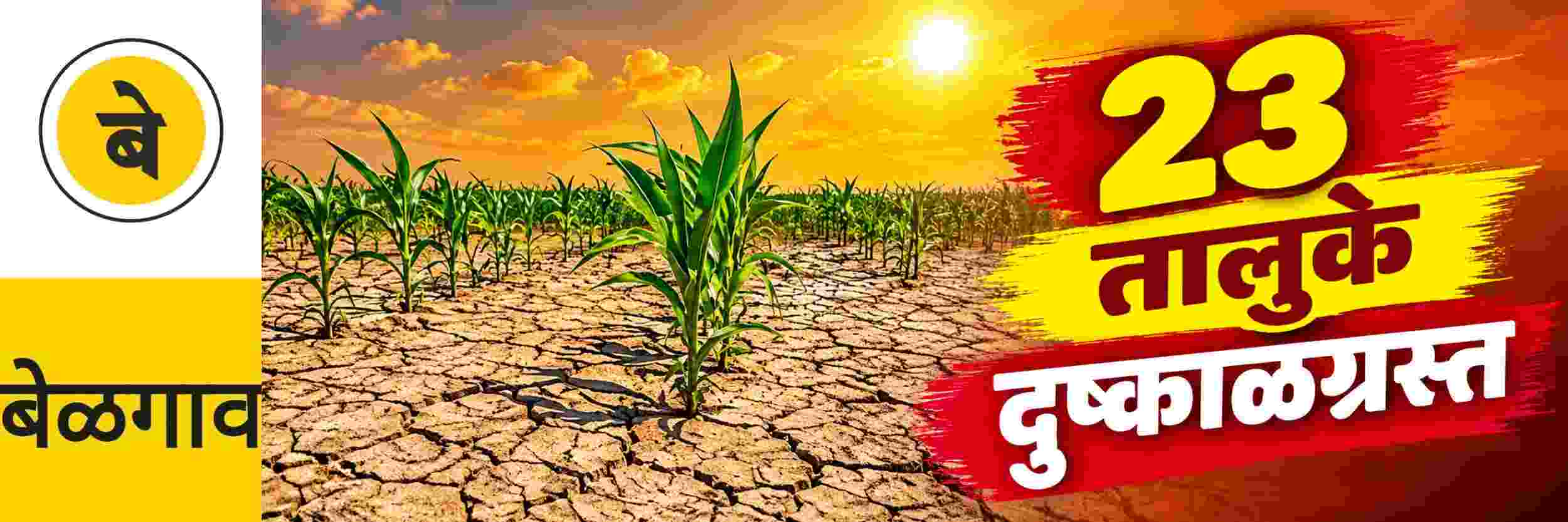 news_71615