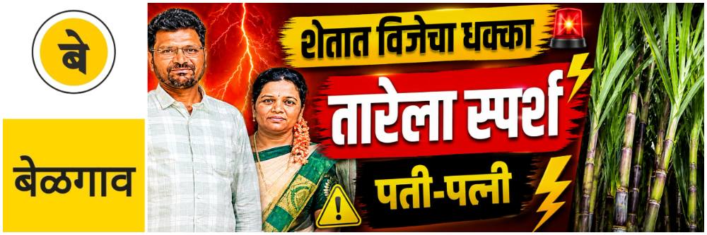 news_70017