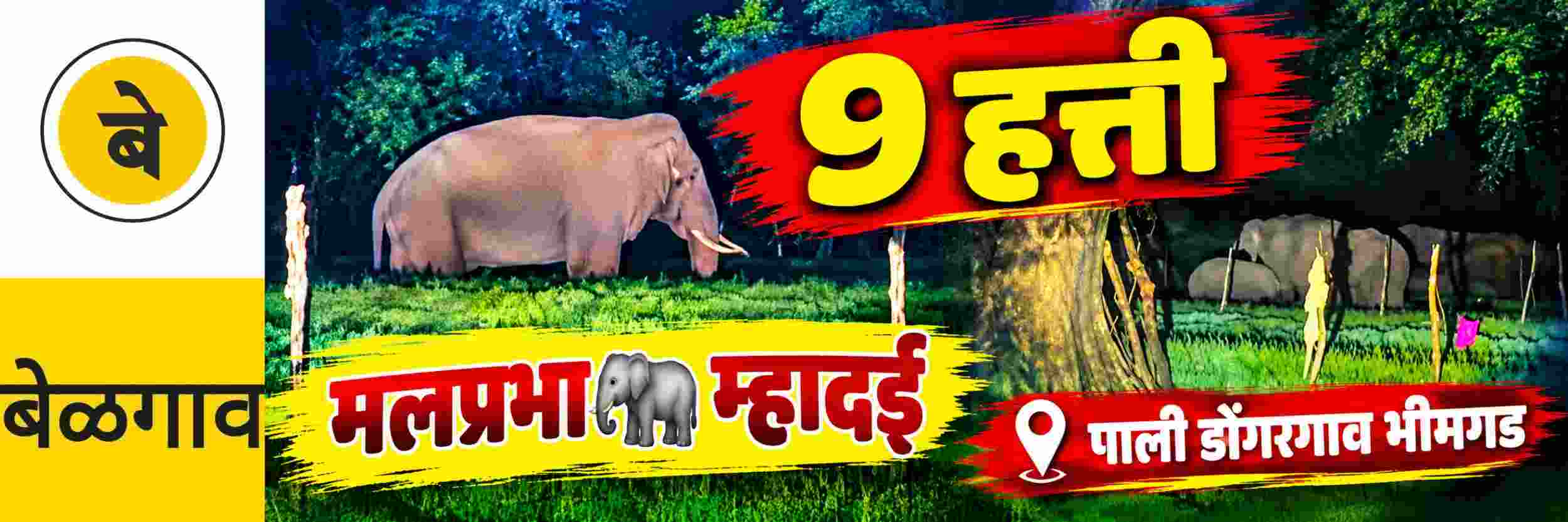 news_71608