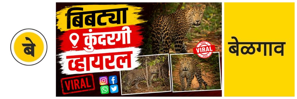 news_69231