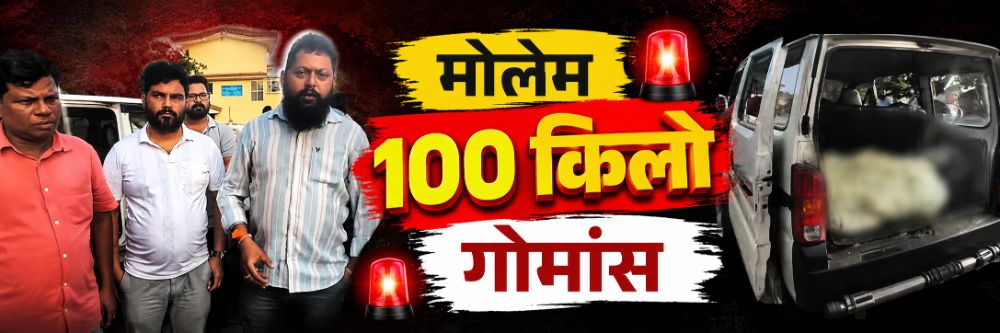 news_70079