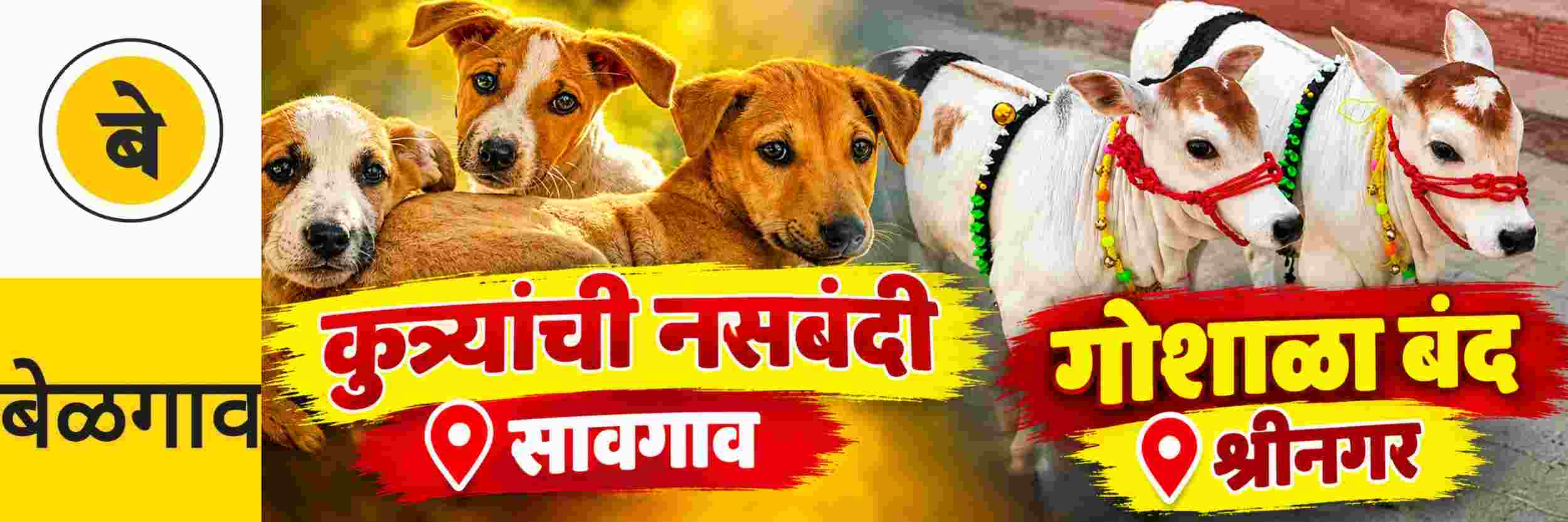 news_71727