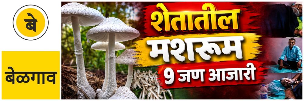 news_69903