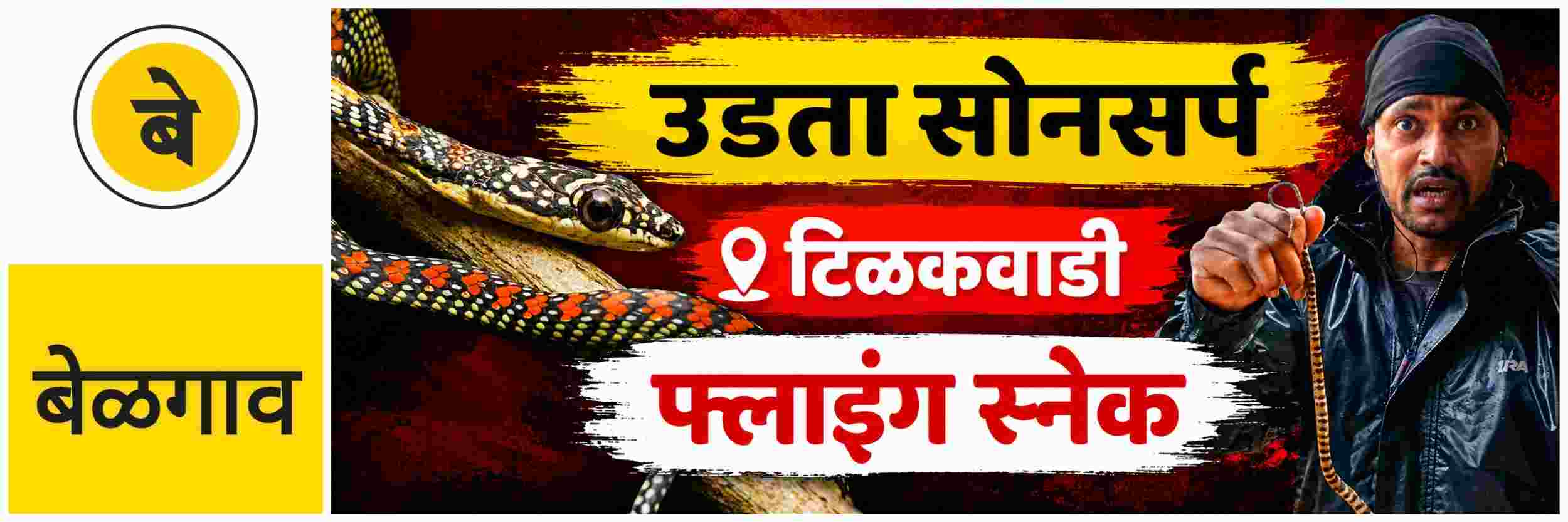 news_70444