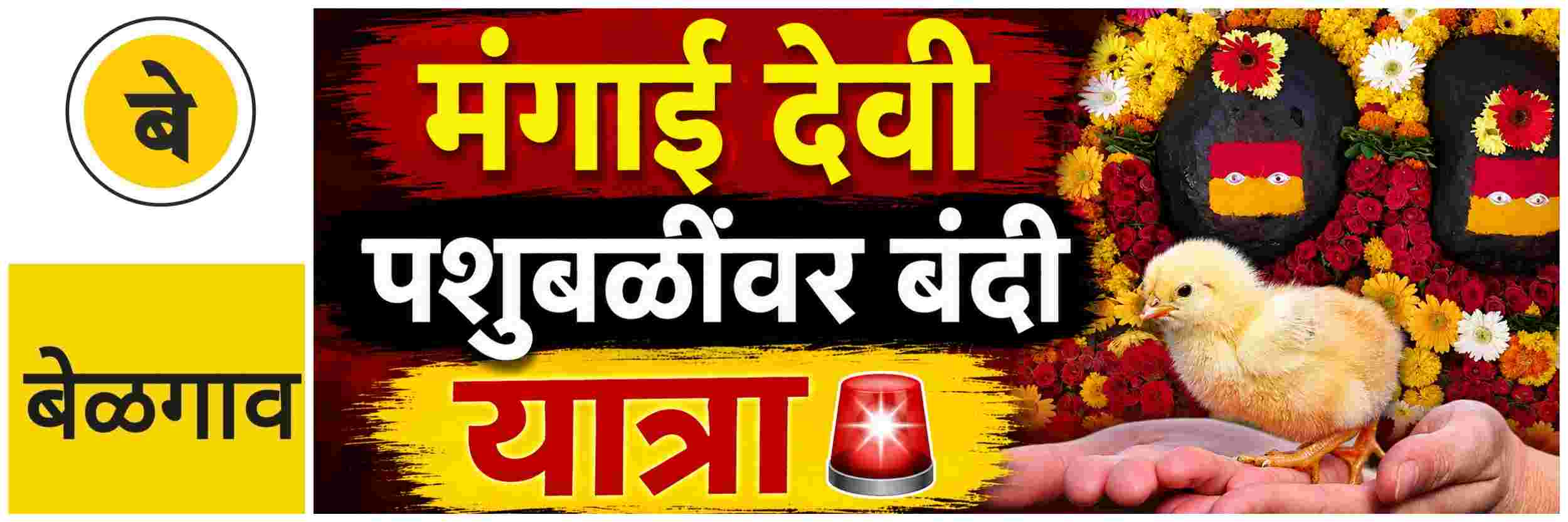 news_70582
