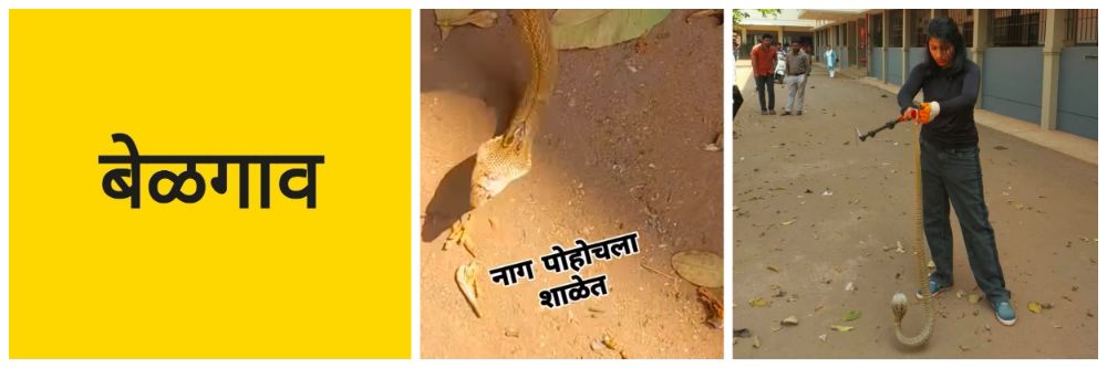news_66032