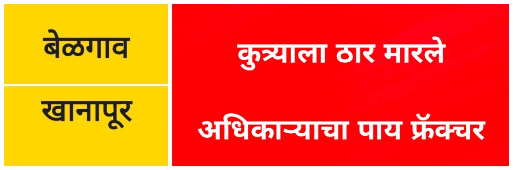 news_68447
