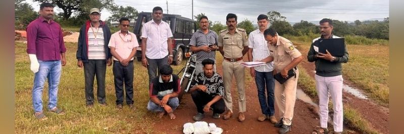 news_62428