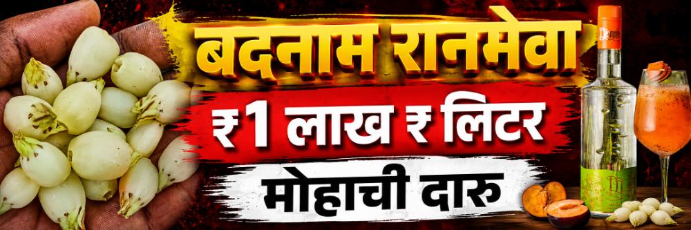 news_70049