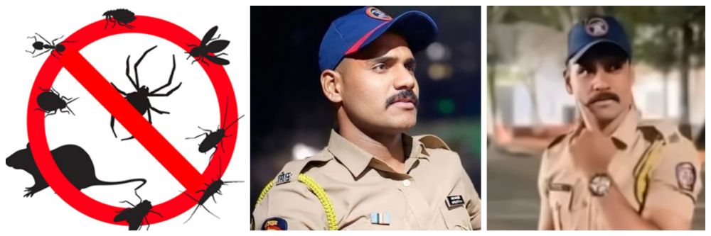 news_62272