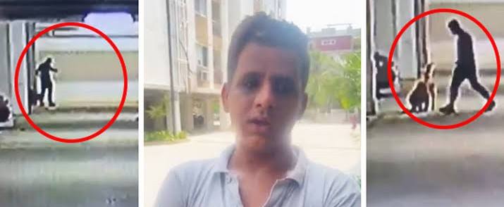 news_56077