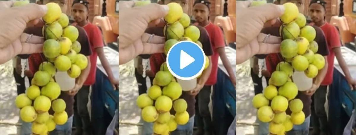 news_57197