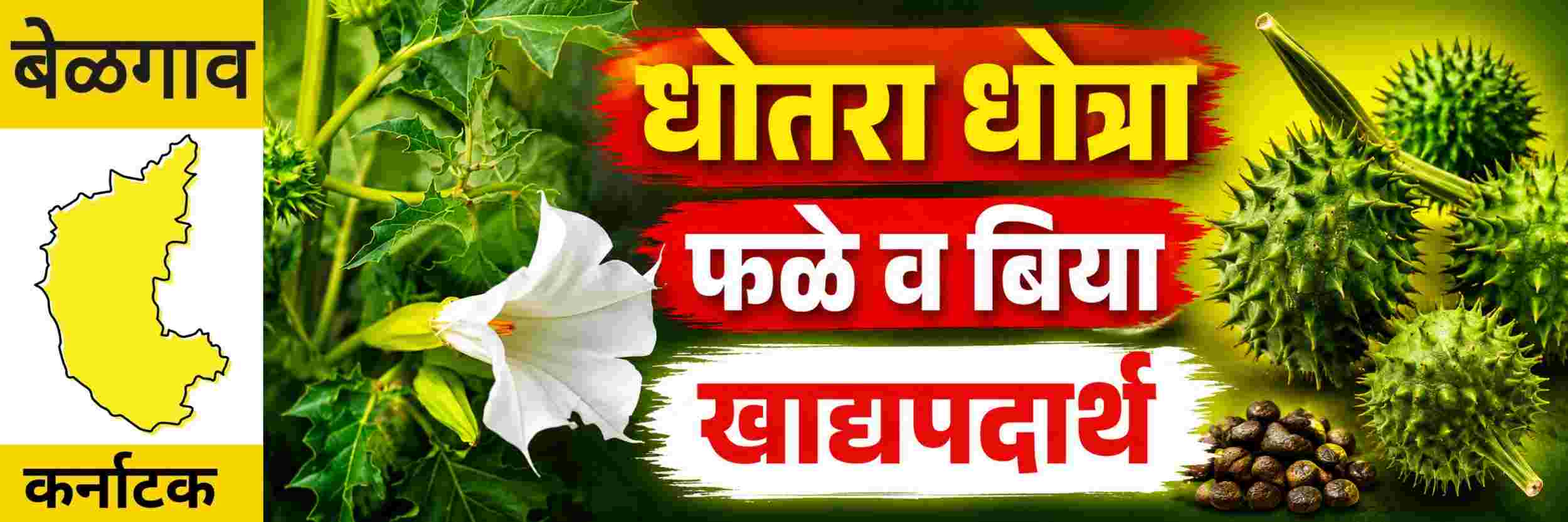 news_71027