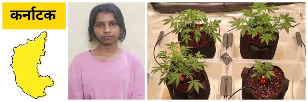 news_68391