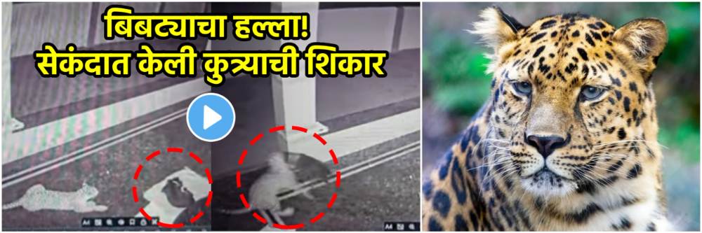 news_59599
