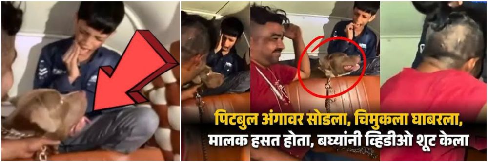 news_59322