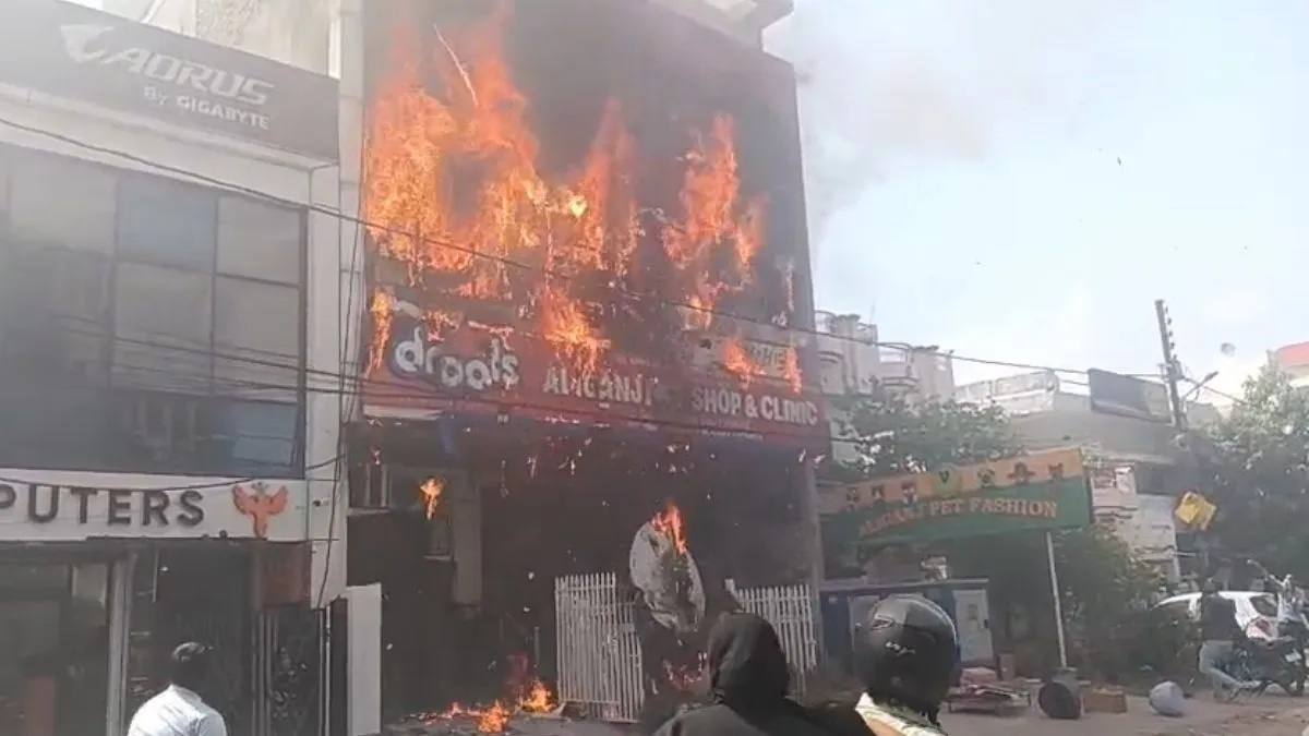 news_69460