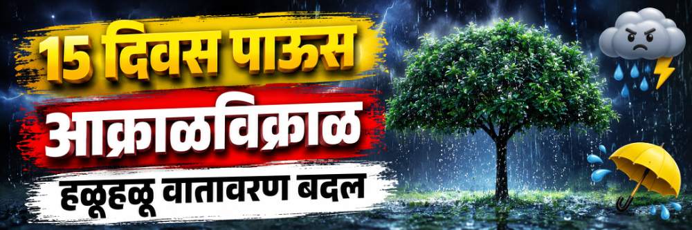 news_69955