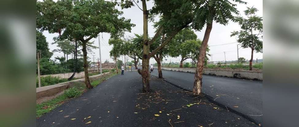 news_58583