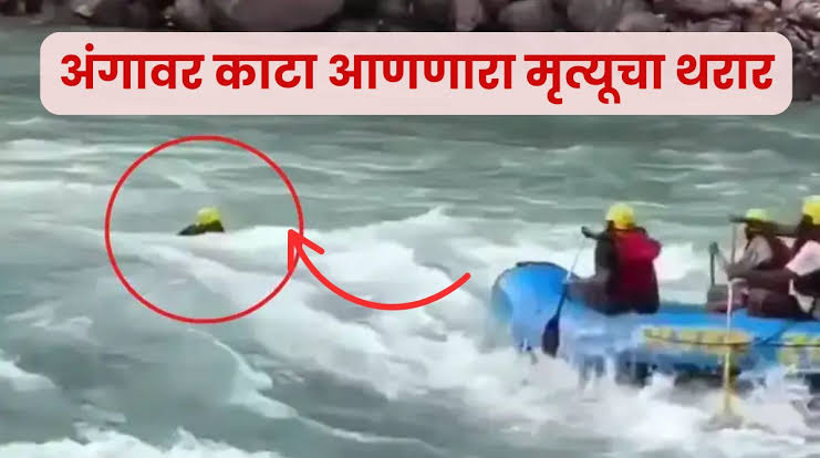 news_56102