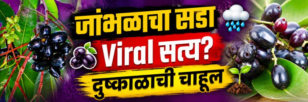 news_69298